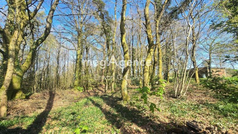 Maison - 90 m² - 6 pièces