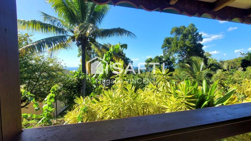 Maison - 367 m² - 11 pièces