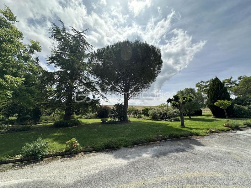 Propriété - 330 m² - 6 pièces