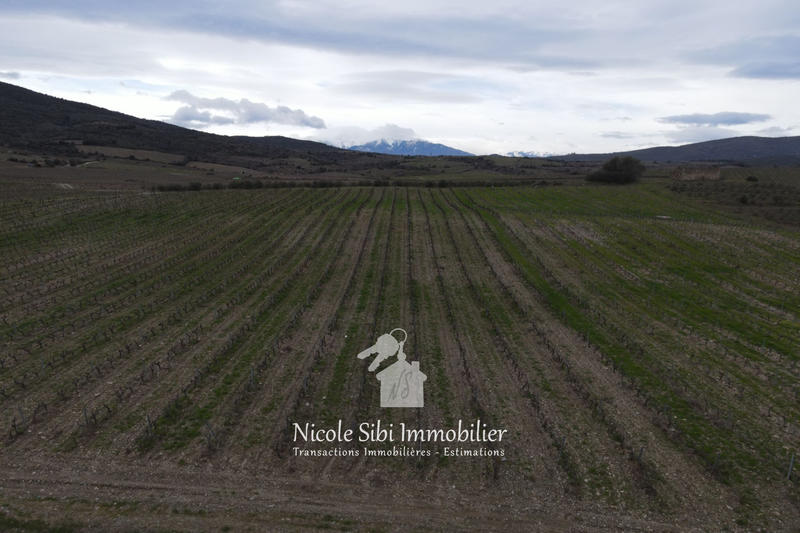 Terrain agricole - 23 527 m²