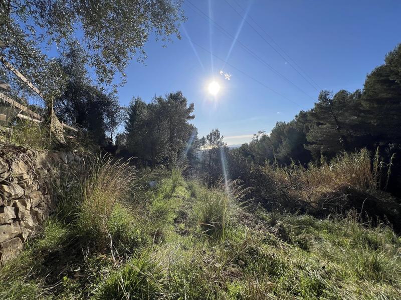 Terrain constructible - 1 518 m²