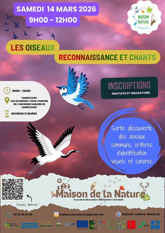 Les oiseaux, reconnaissance et chants