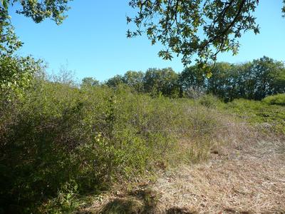 Terrain constructible - 5 345 m²