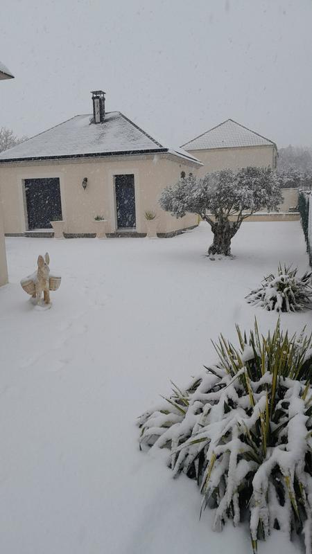 Maison - 210 m² - 7 pièces