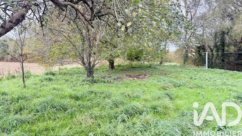 Maison - 167 m² - 5 pièces