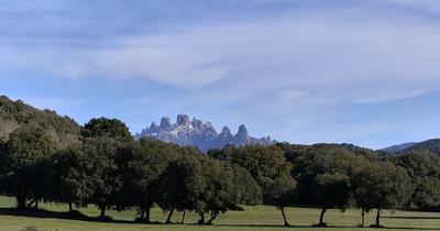 Terrain constructible - 490 m²