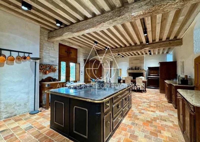 Château - 3 000 m² - 16 pièces