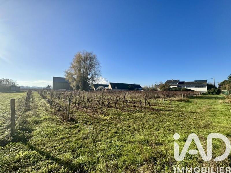 Ferme - 400 m² - 9 pièces