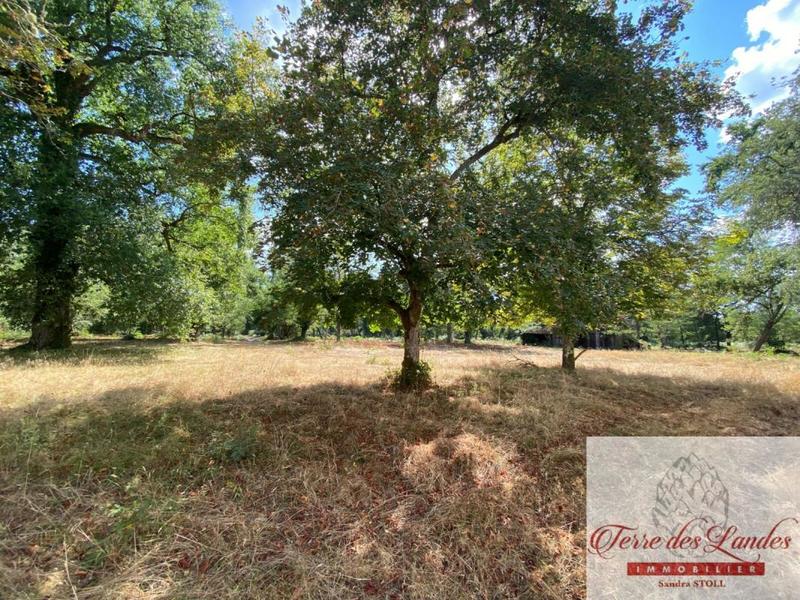 Maison - 80 m² - 3 pièces