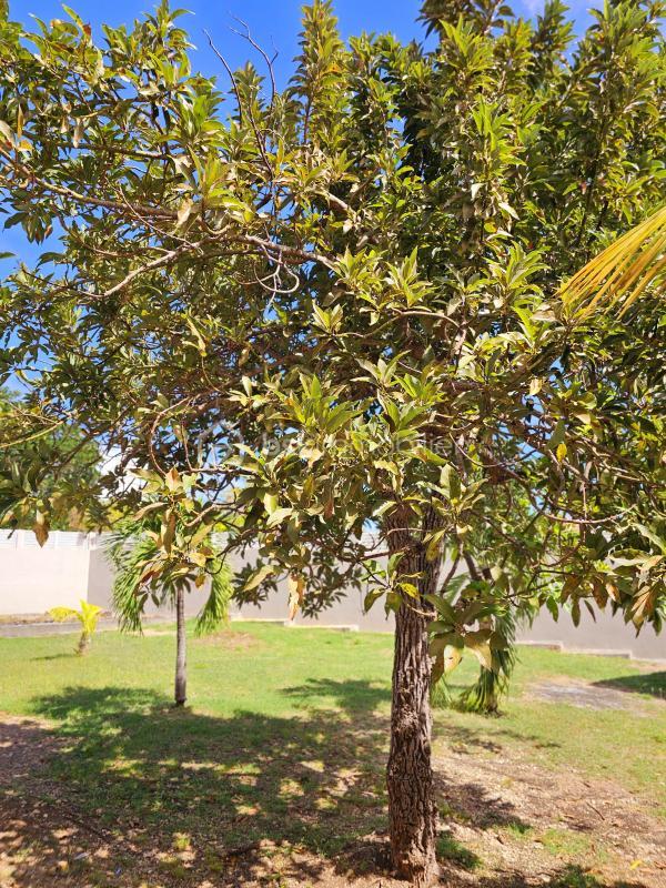 Propriété - 211 m² - 7 pièces