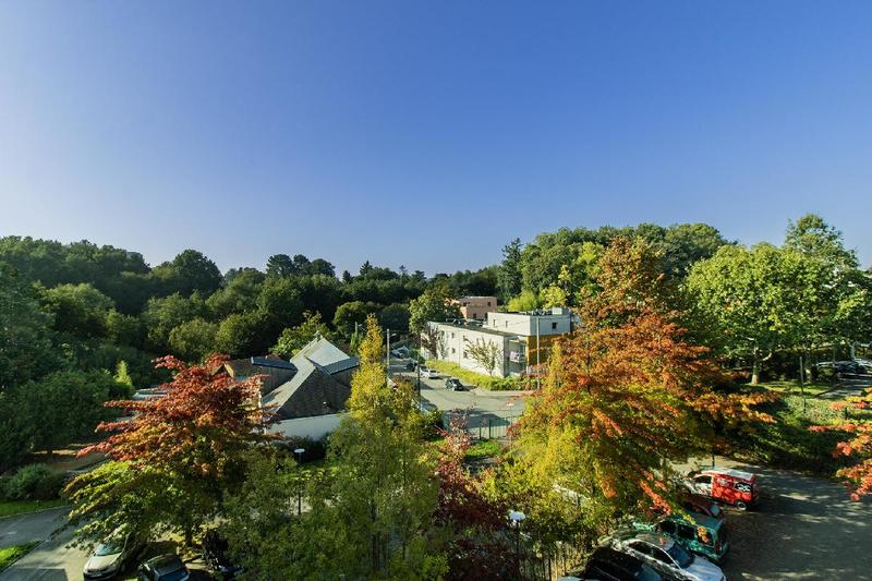 Studio - 19 m² - 1 pièce