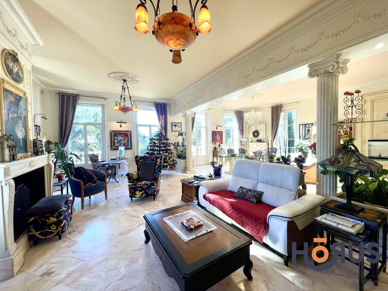 Viager - Maison - 382 m² - 13 pièces