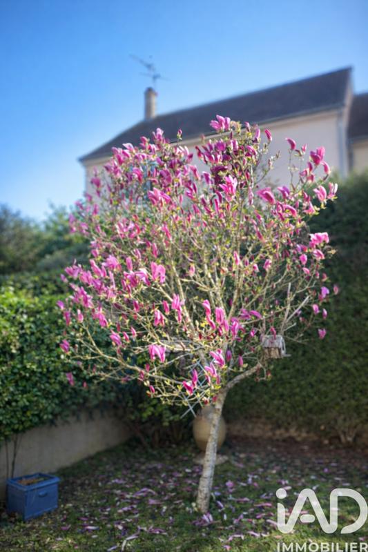 Maison de ville - 147 m² - 6 pièces