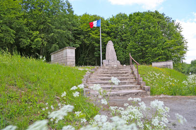 Visite guidée du champ de bataille en voiture - Bois des Caures