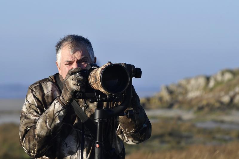 Espèces discrètes : la photo pour débutant