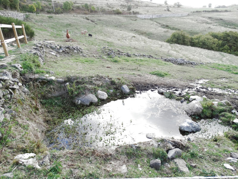 Propriété - 115 m² - 4 pièces