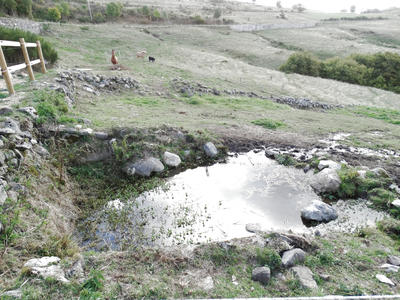 Propriété - 115 m² - 4 pièces