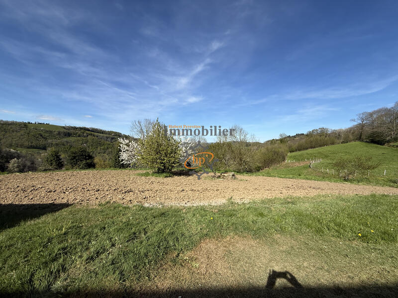 Maison - 290 m² - 10 pièces