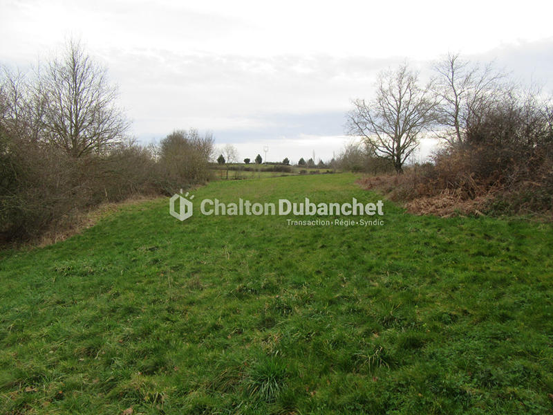 Terrain de loisirs - 17 000 m²