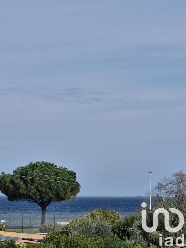 Appartement - 19 m² - 2 pièces