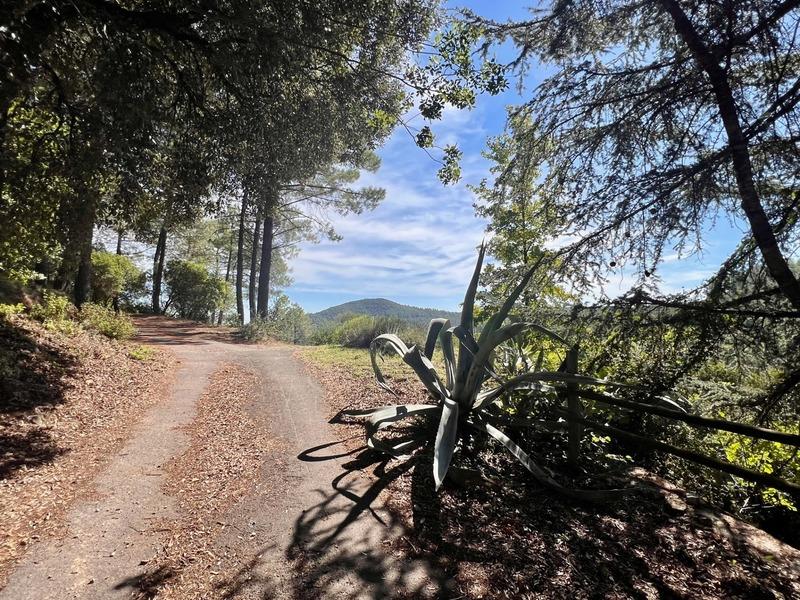 Maison - 196 m² - 6 pièces