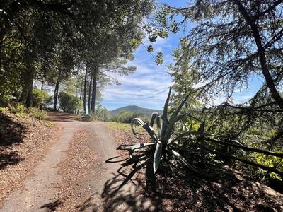 Maison - 196 m² - 6 pièces