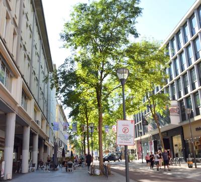 Local commercial - 132 m² - 11 pièces