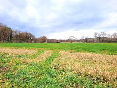 Maison - 600 m² - 12 pièces