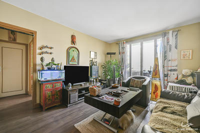 Appartement - 50 m² - 2 pièces