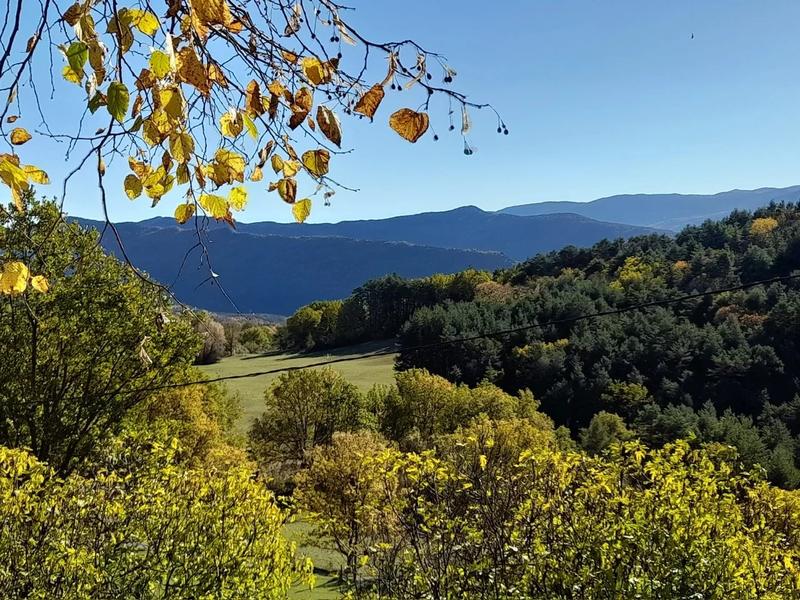 Propriété - 203 m² - 8 pièces