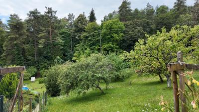 Terrain constructible - 1 109 m²