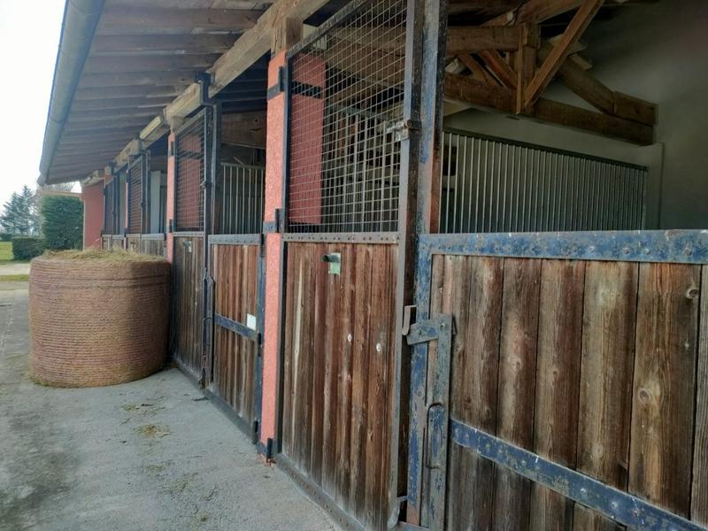 Haras - 340 m² - 10 pièces