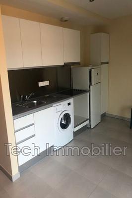 Studio - 24 m² - 1 pièce
