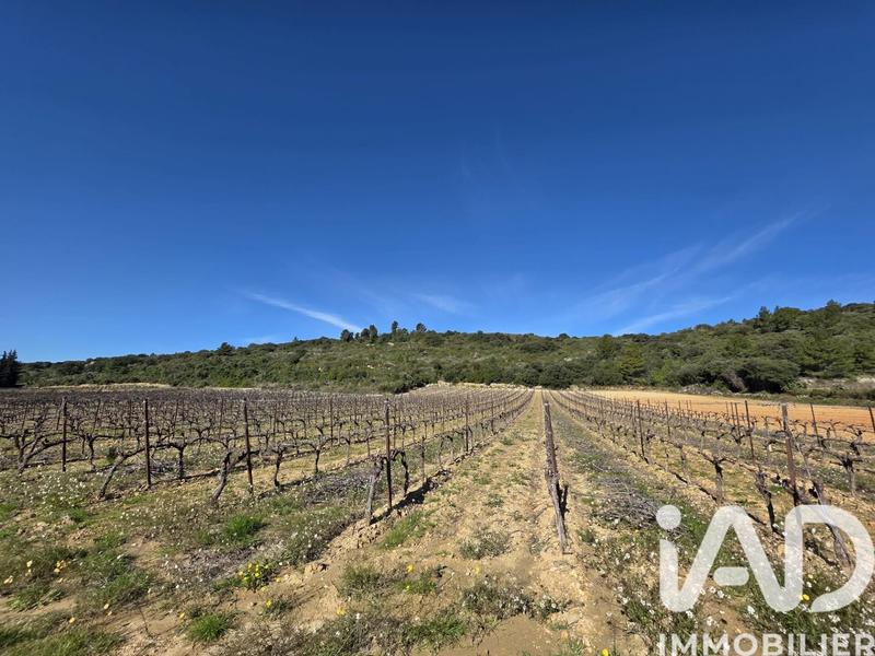 Terrain agricole - 10 170 m²