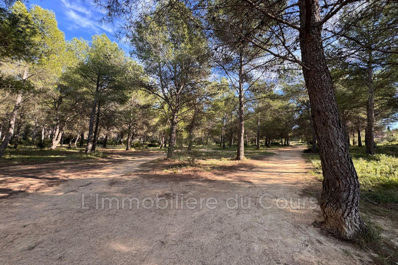 Terrain de loisirs - 5 245 m²