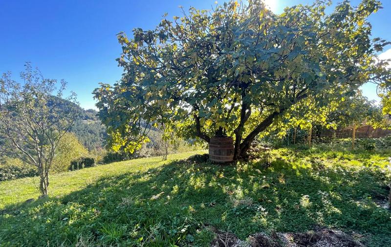 Maison provençale - 220 m² - 9 pièces