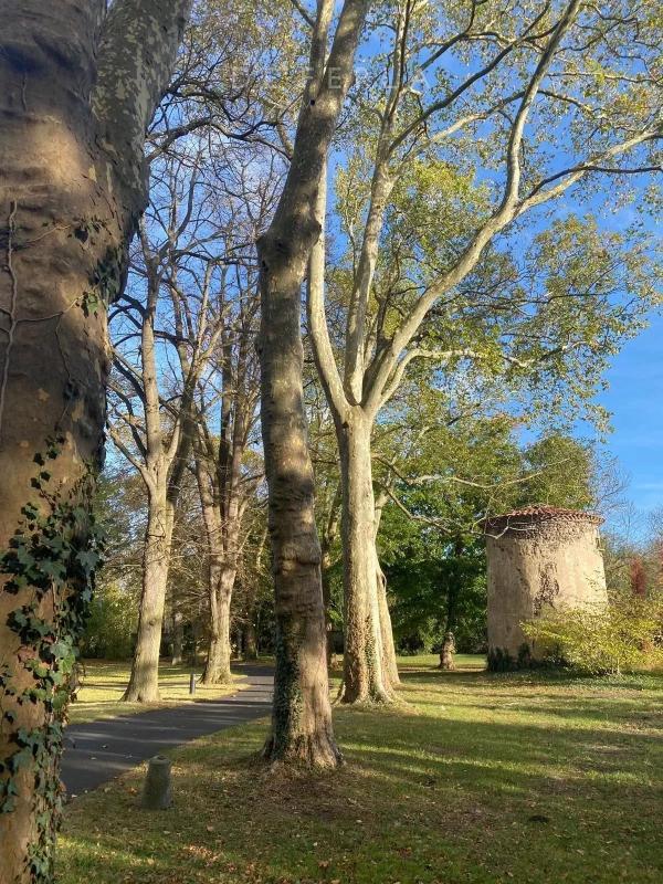 Château - 800 m² - 11 pièces