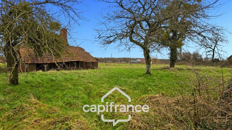 Terrain constructible - 1 294 m²