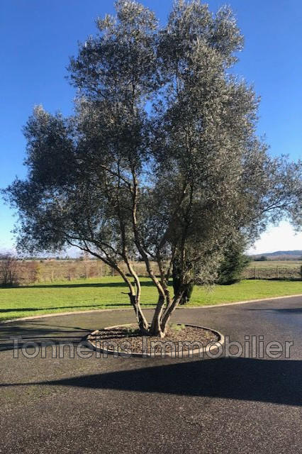 Propriété - 180 m² - 5 pièces