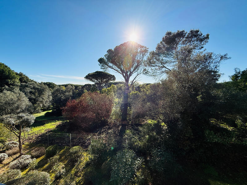 Appartement - 85 m² - 3 pièces