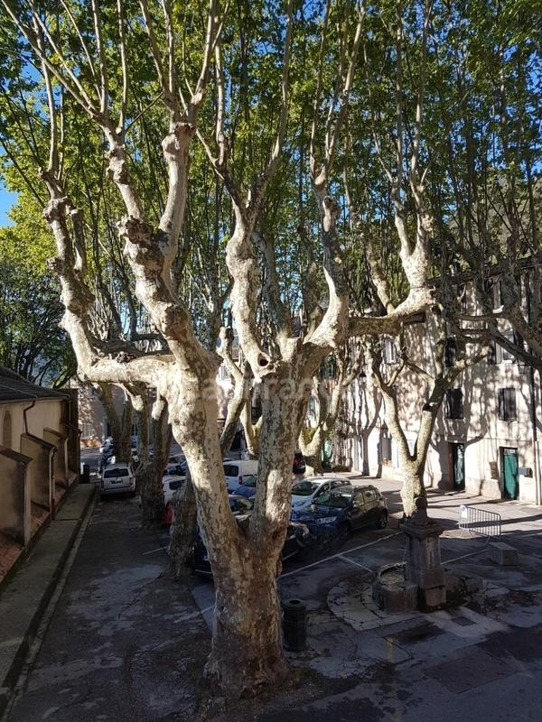 Maison de village - 200 m² - 7 pièces