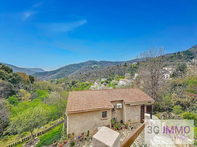 Viager - Maison - 75 m² - 3 pièces