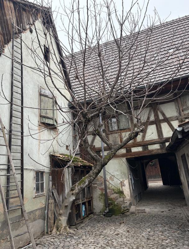 Maison - 84 m² - 4 pièces