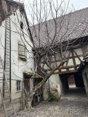 Maison - 84 m² - 4 pièces