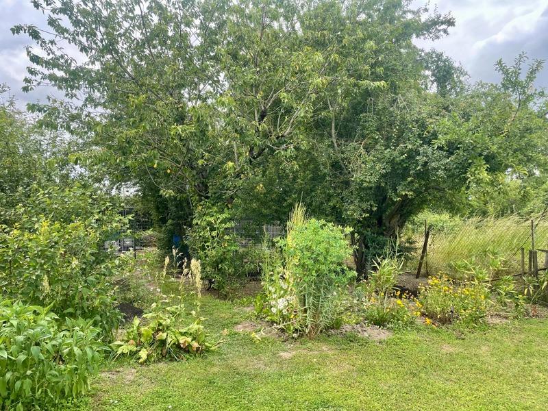 Maison de village - 134 m² - 6 pièces