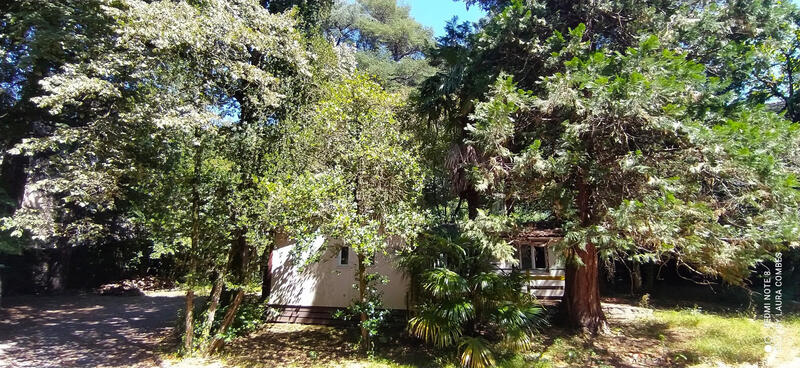 Château - 678 m² - 25 pièces