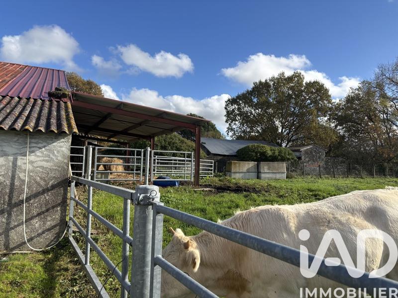 Maison - 300 m² - 11 pièces