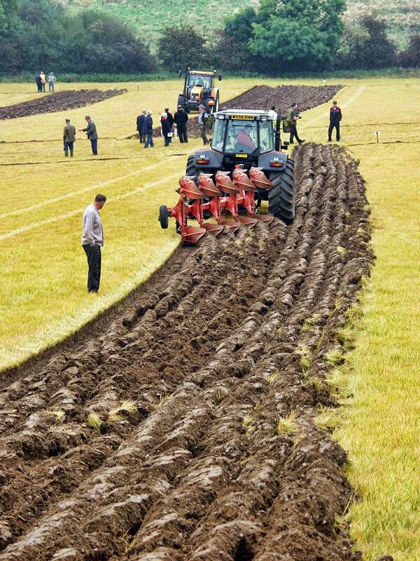 Journée agricole - concours de labour, vide greniers