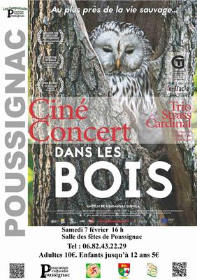 Ciné concert : Dans les bois