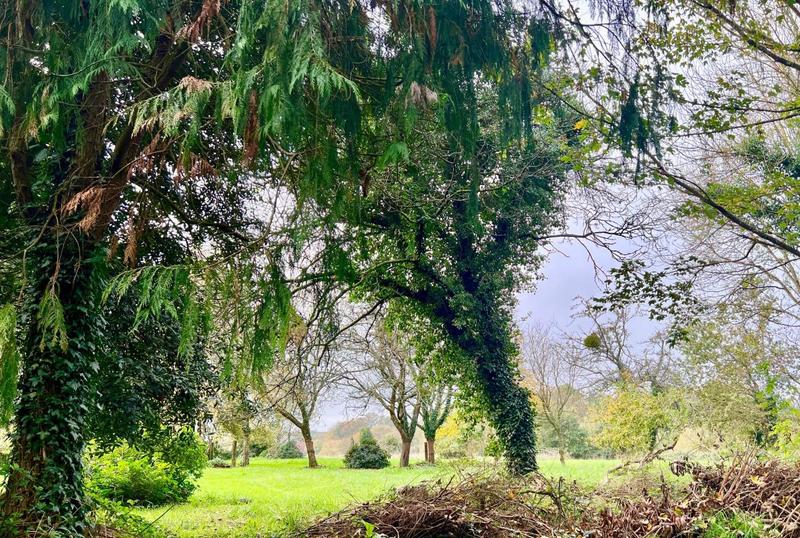 Propriété - 275 m² - 11 pièces